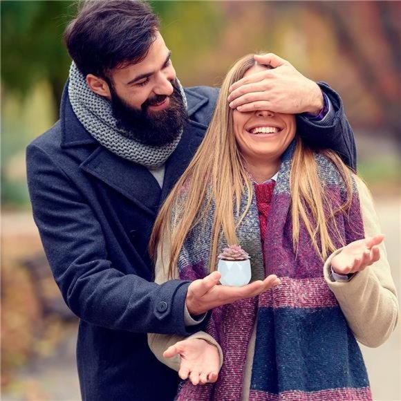 4 Pack Mini Succulents Plants Artificial in Pots-Rose Pink Small Fake Succulents - Picture 5 of 6